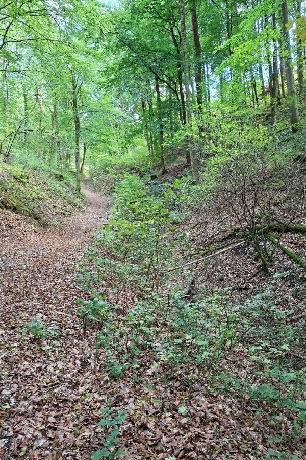 202609_Wandern_Bild2