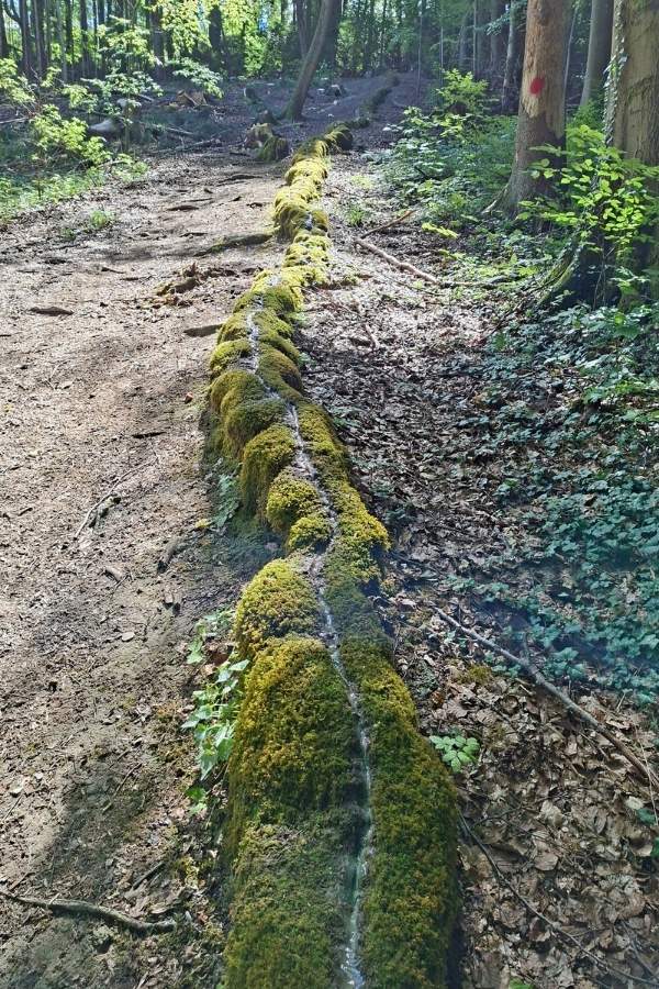202609_Wandern_Bild3