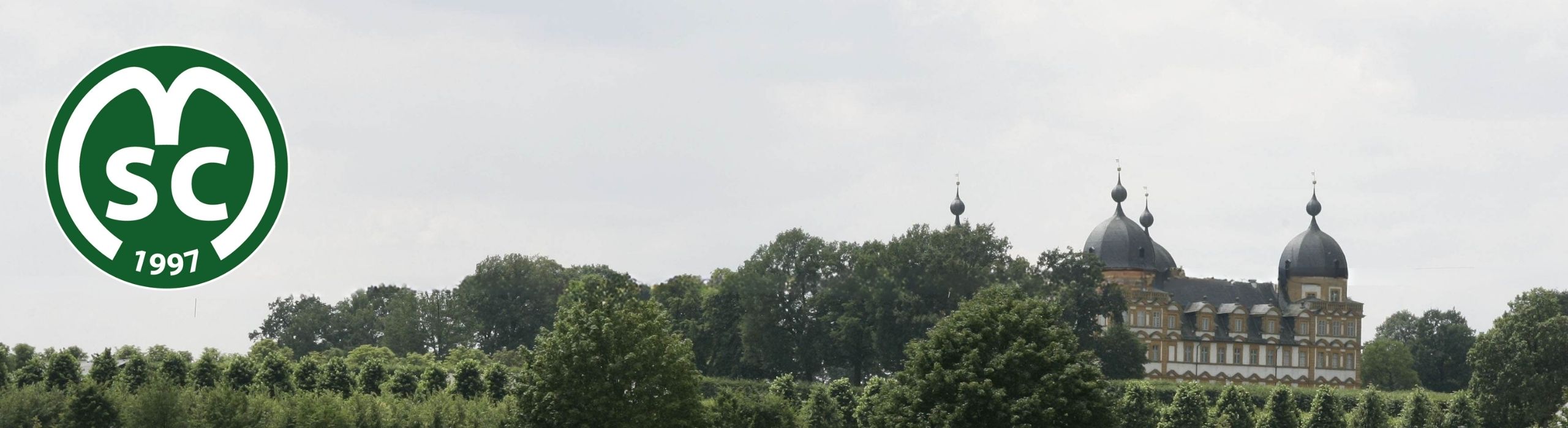 Banner_Verein