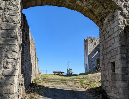 Wanderung zur Ruine Bramberg am 10. Mai 2025